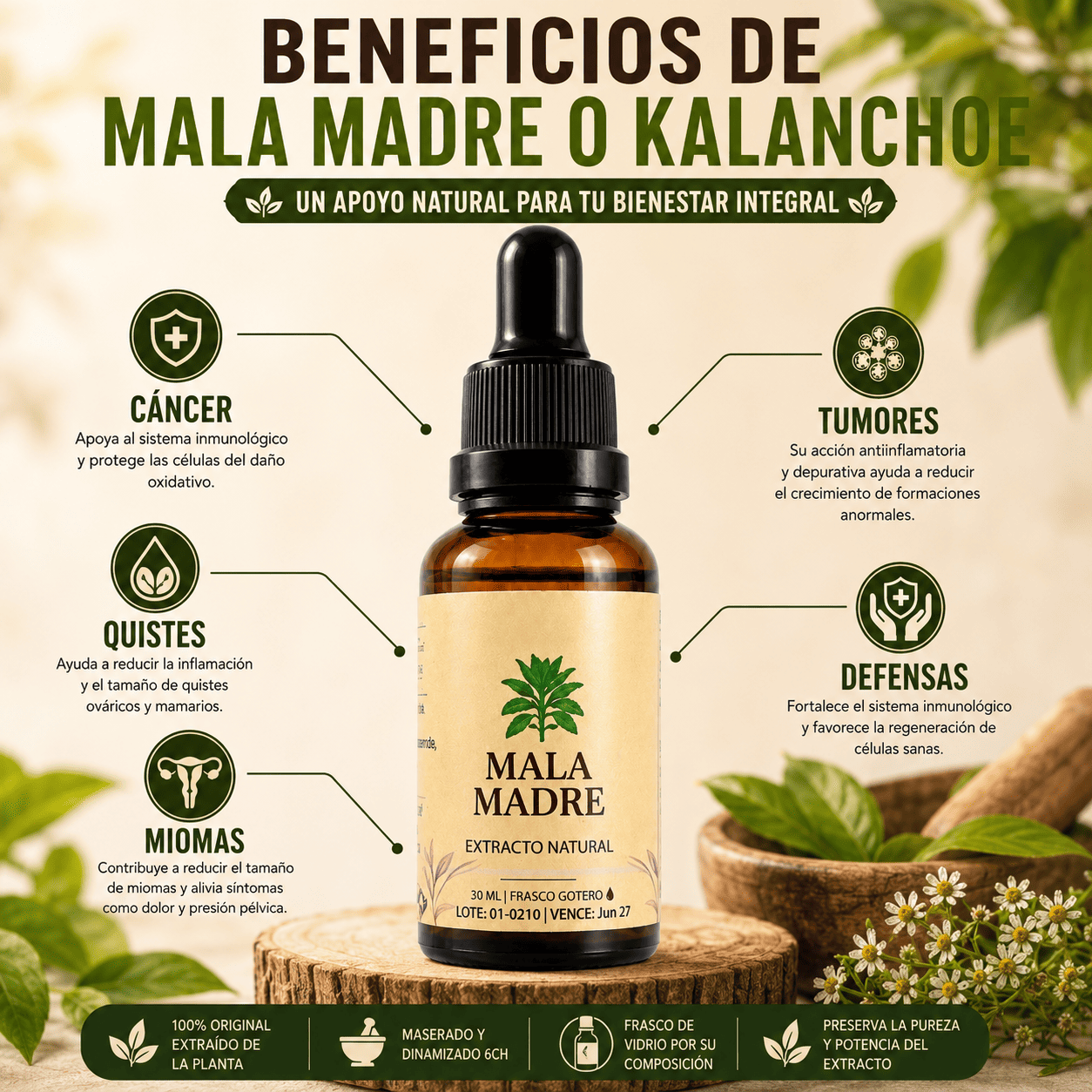MALA MADRE
